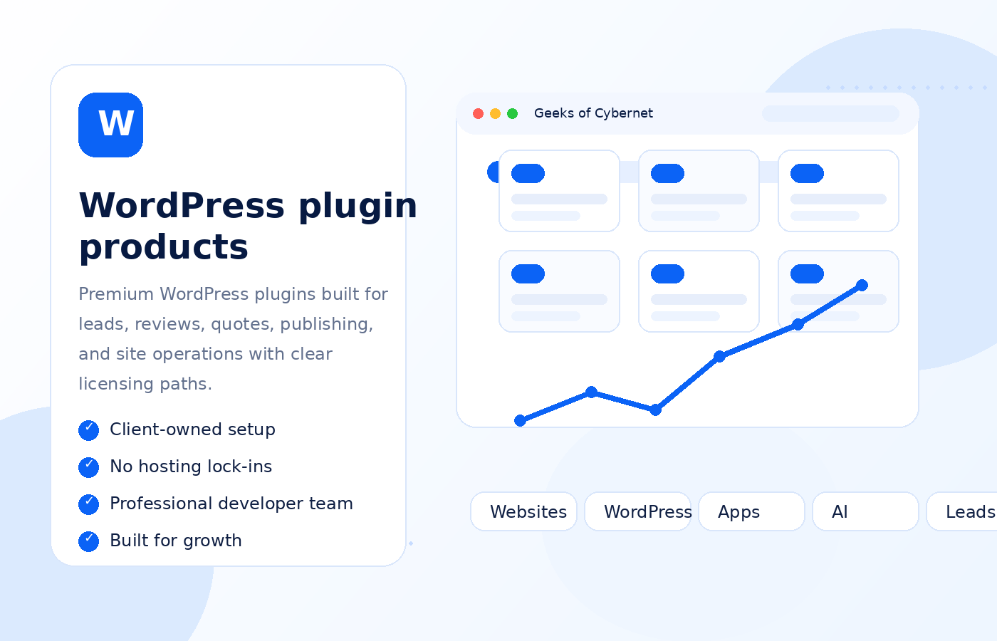 WordPress Plugins illustration